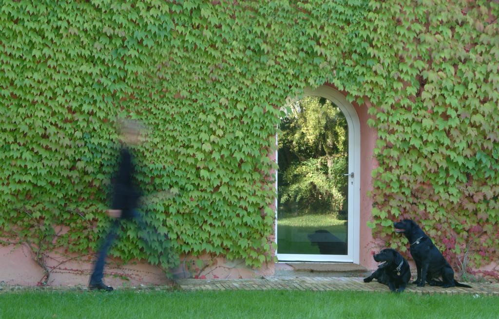 Le Versegge Resort Braccagni Zimmer foto
